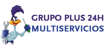 Grupo Plus 24H Multiservicios